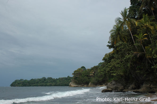 11. Rio Cocles Aviarios de Caribe Cahuita NP