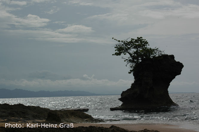 11. Rio Cocles Aviarios de Caribe Cahuita NP
