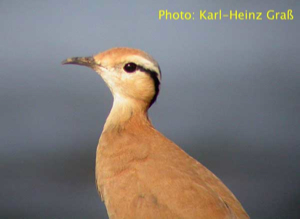 cabo_verde_405