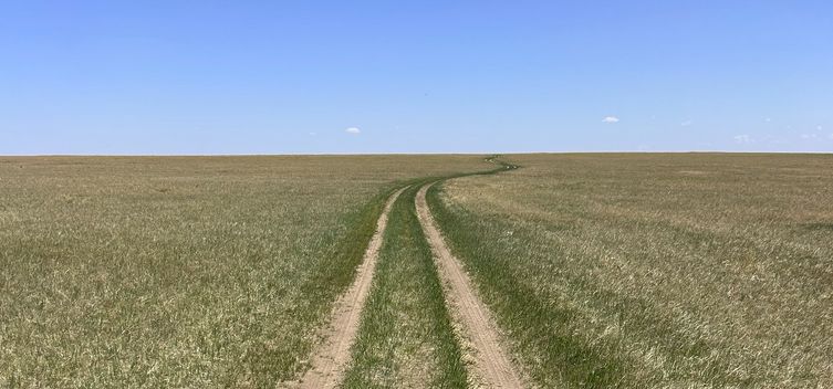 steppe